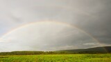 The rainbow over the pine forest is the real beauty of Siberia. Light rain and a breeze perfectly complement this picture