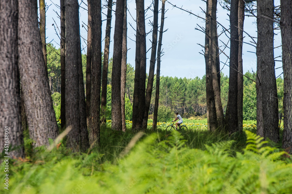 Naklejka premium cyclists on the bike path through the forest