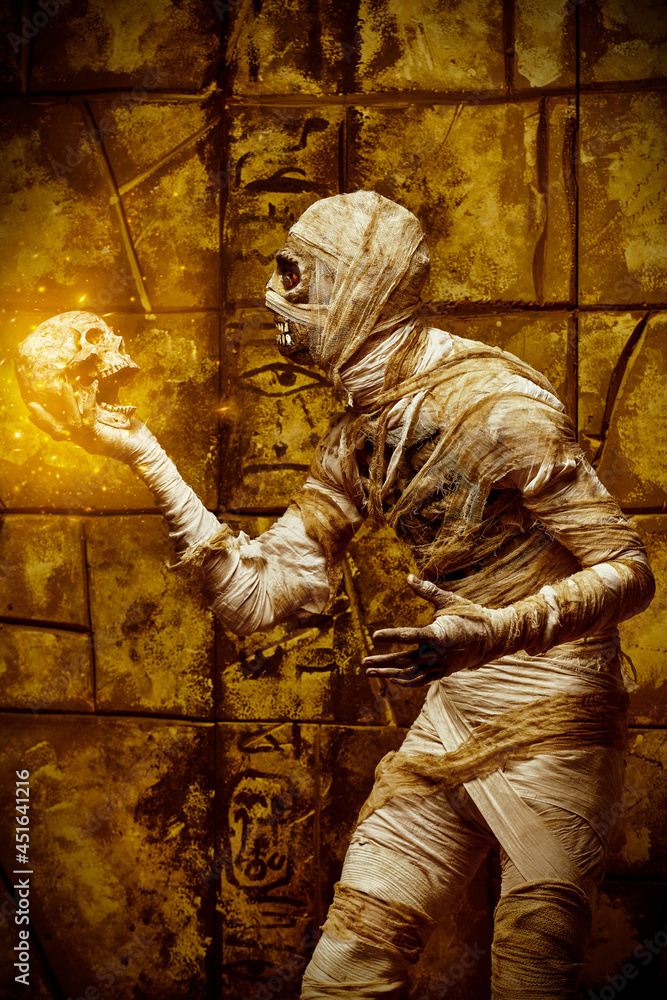 Obraz premium skull and mummy