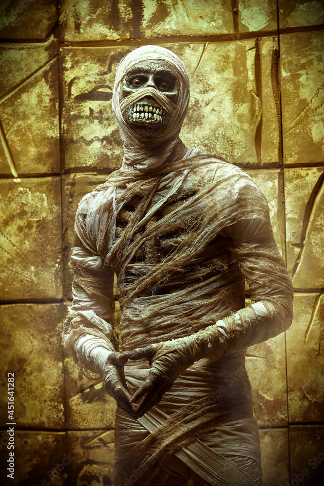 mummy in the tomb mummy in the tomb