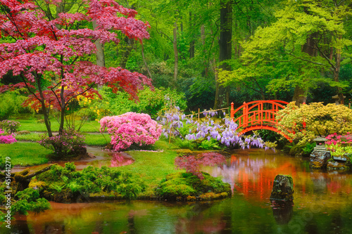 Fotografie Japanese garden, Park Clingendael, The Hague, Netherlands