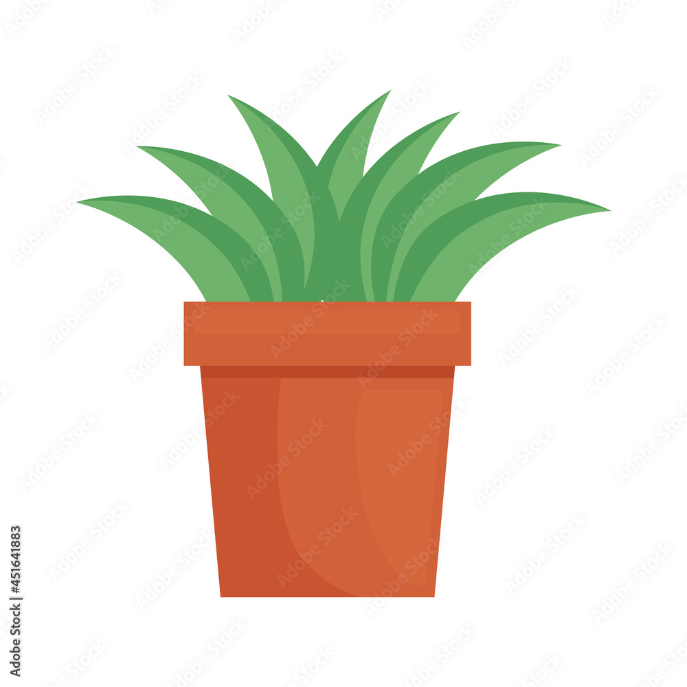 houseplant ceramic pot houseplant ceramic pot