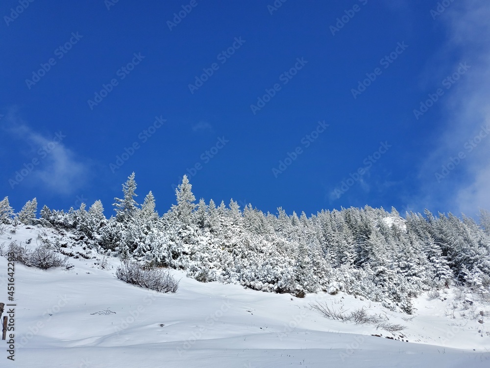 Schneelandschaft auf dem Zwiesel Schneelandschaft auf dem Zwiesel