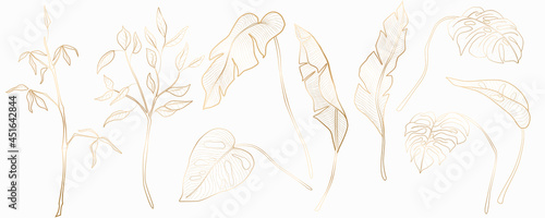 Set of tropical plants for textile decor, web banners, social networks