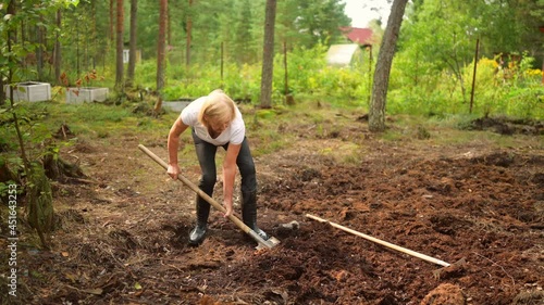 Senior gardener woman falls hurts back pain radiculitis digging at summer farm countryside outdoors using garden tools rake and shovel. Farming agriculture, retired active old age people concept