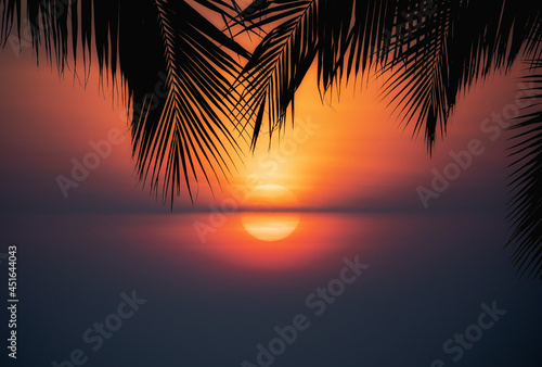 Silhouette of beautiful sunset on the sea beach with palm tree for travel in holiday © Arnon