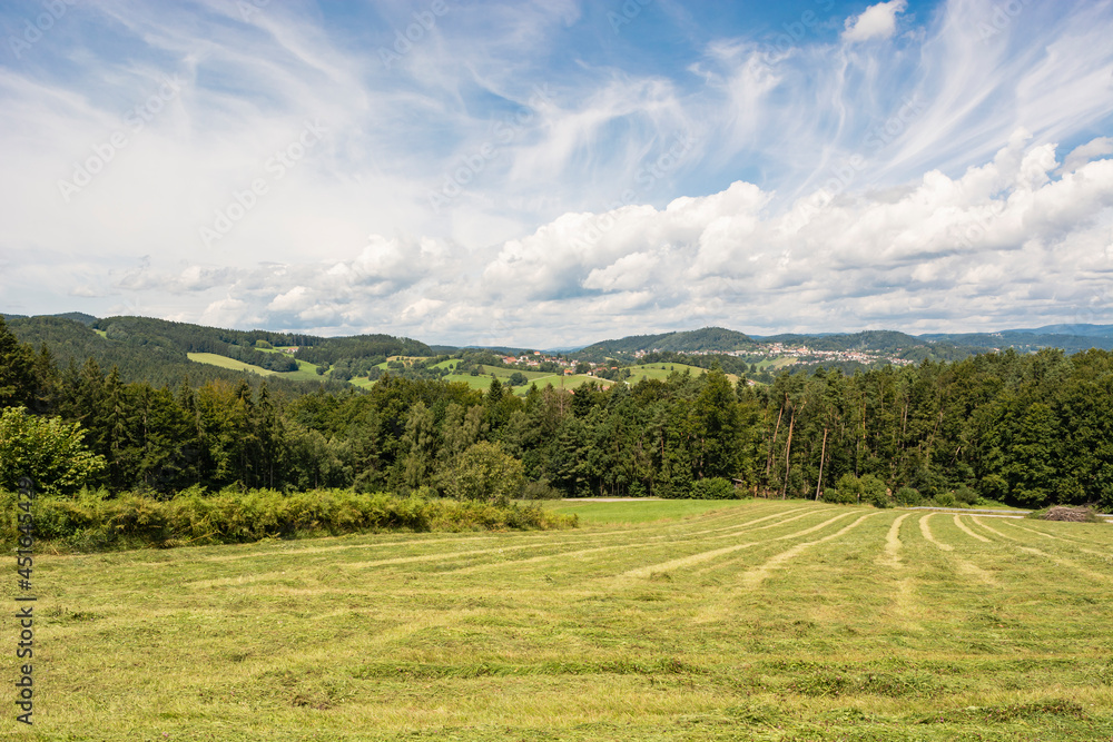 Obraz premium Bavarian Forest, near Solla