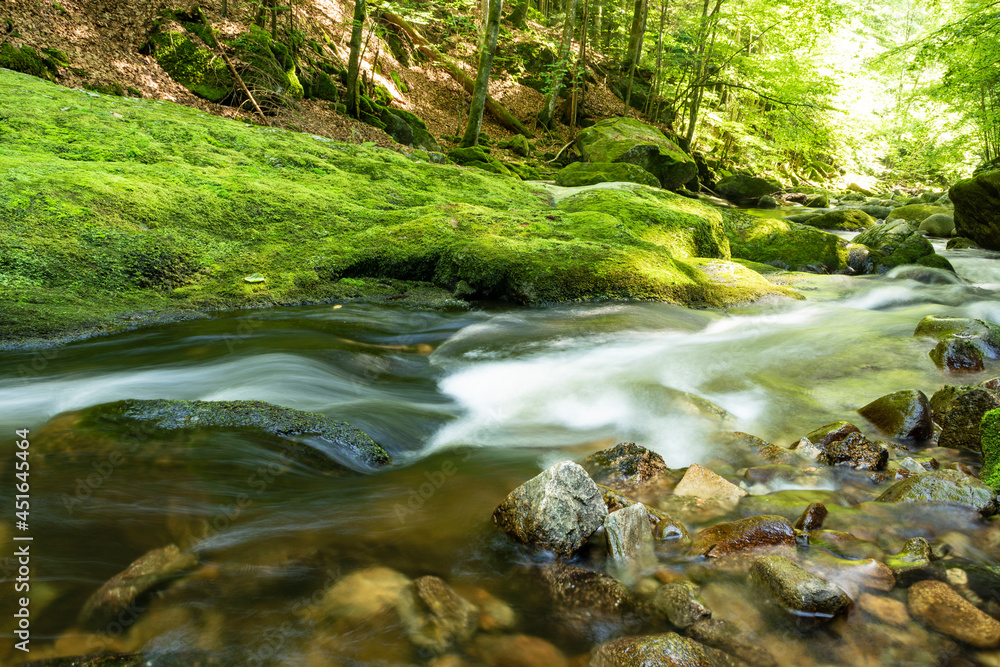 River, Buchberger Leite, Bavarian Forest River, Buchberger Leite, Bavarian Forest
