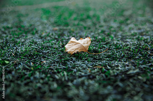 A yellow maple leaf lies on the artificial turf of the soccer field