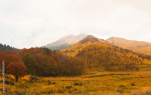 View of mountain, yellow field and deciduous forest in autumn