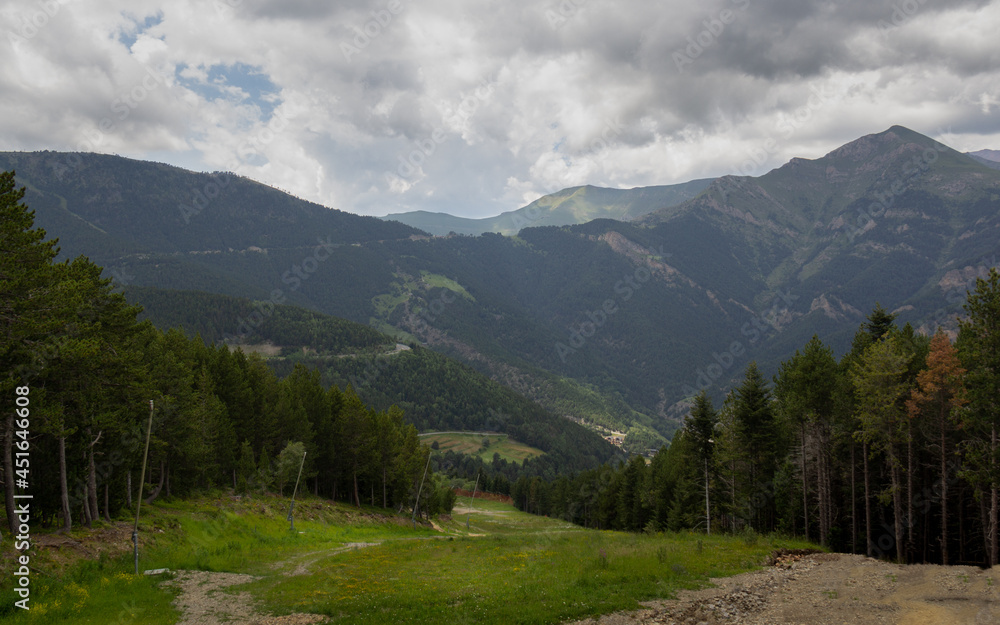 beautiful mountain trails surrounded by large forest trees with big mountains in the background