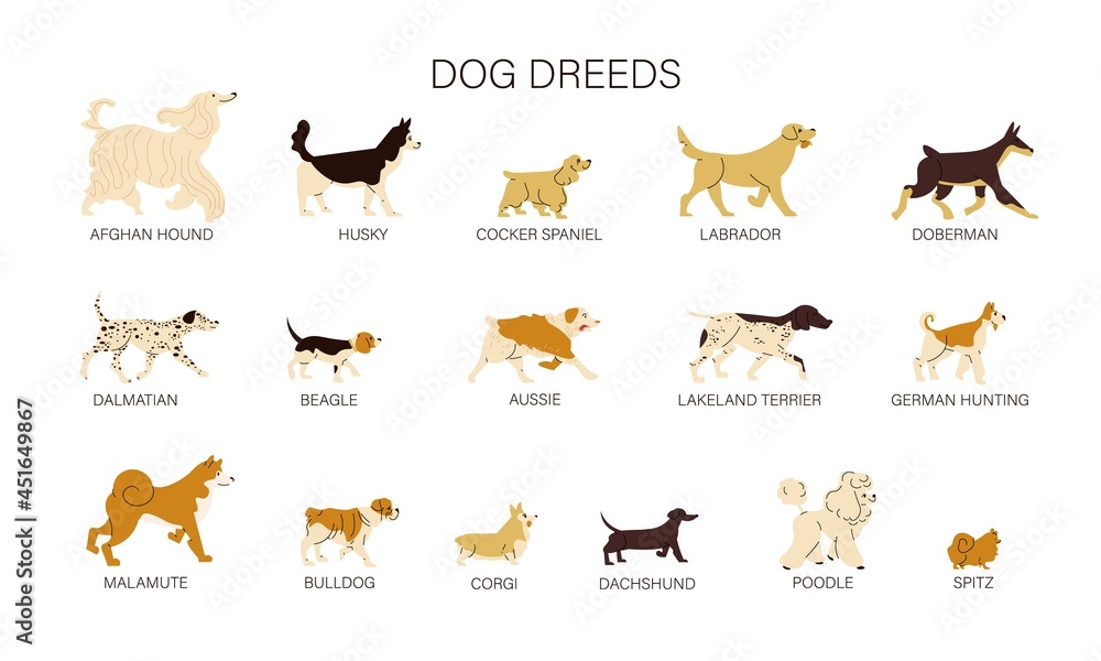 Dog Breeds Set Dog Breeds Set
