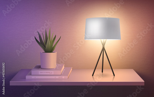 Lamp And Flower Pot photo