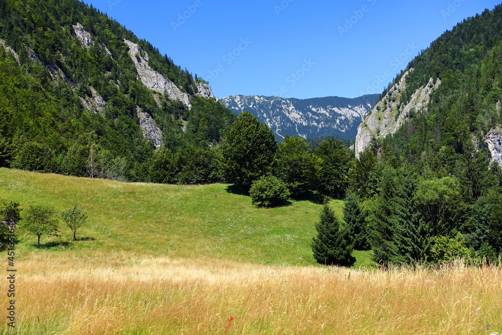 Summer landscape in the Carpathians, Pestera Village, Romania, Europe