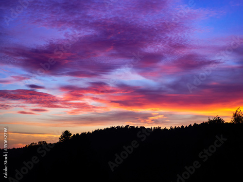 Wallpaper Mural A purple haze inspired sunset with pink, purple and orange clouds over a forest mountain Torontodigital.ca