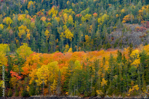 Pine trees and perfect autumn colors surround a small Beaver Pond