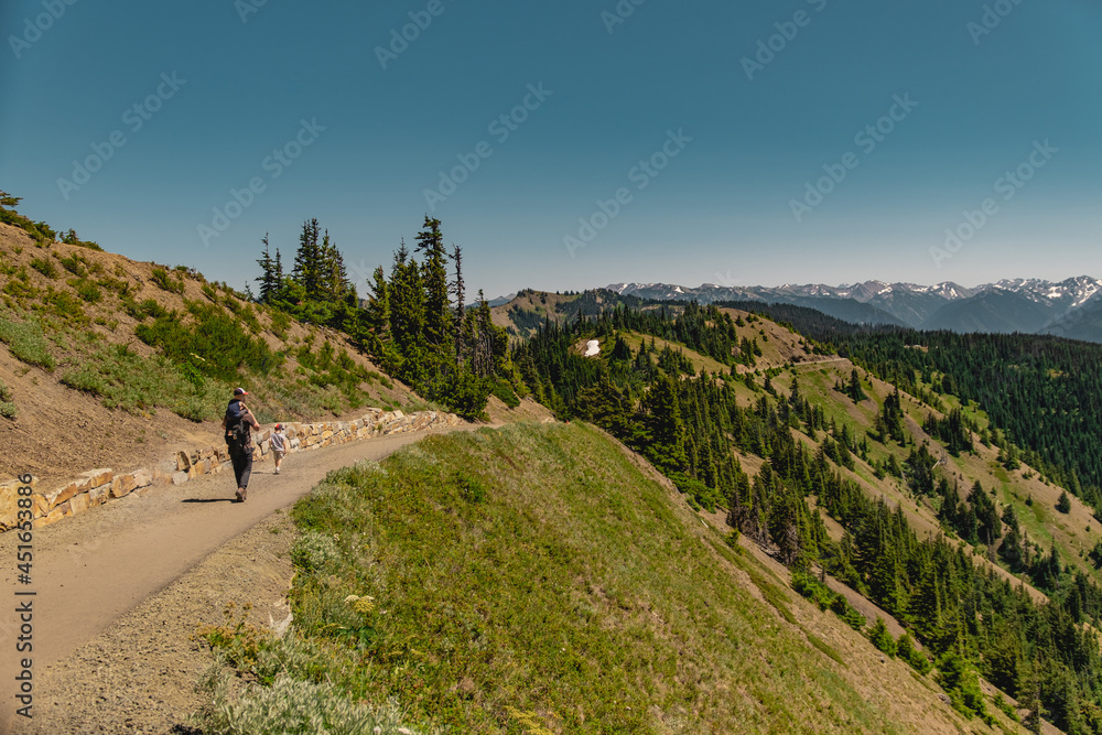 Father hiking with his sons on Hurricane Hill in Olympic National Park