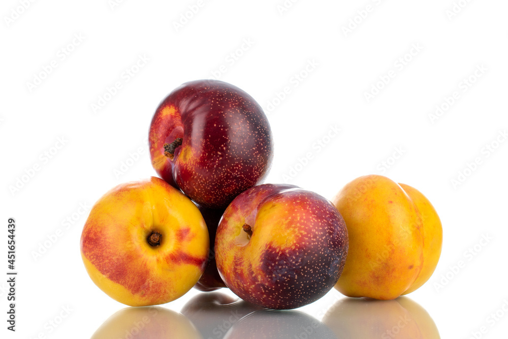 Two juicy ripe nectarines and two plums, close-up, isolated on white. Two juicy ripe nectarines and two plums, close-up, isolated on white.