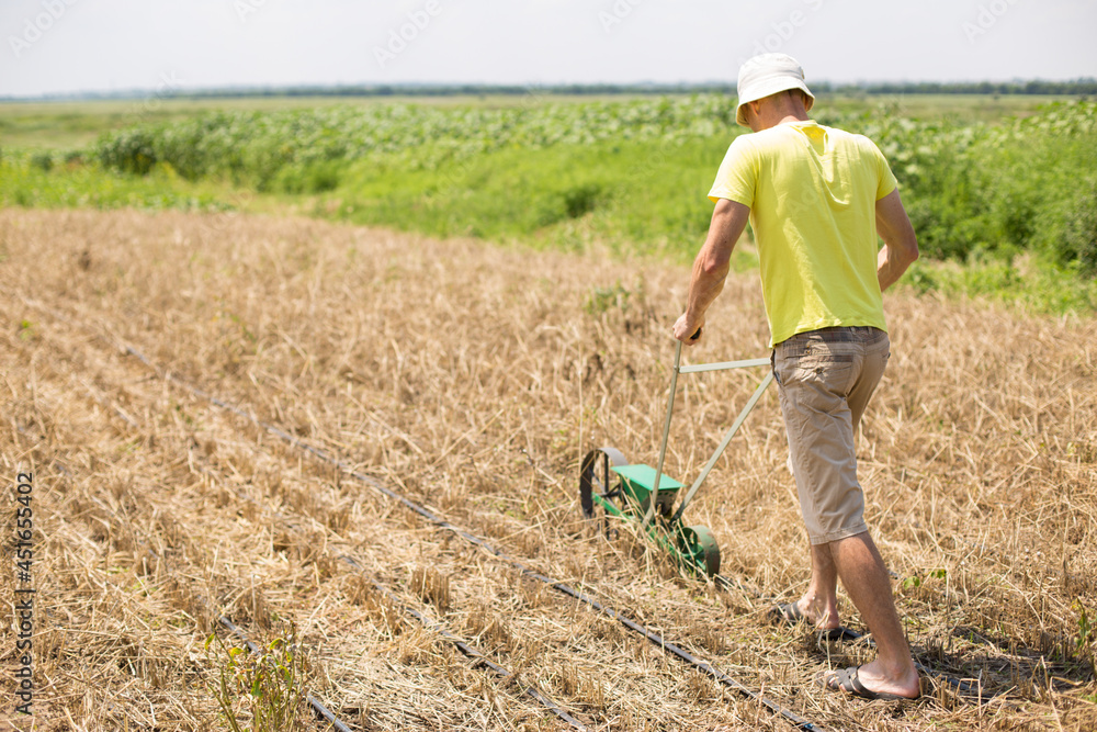 Fototapeta premium Seeding woth manual seeder. Growing cover crops.