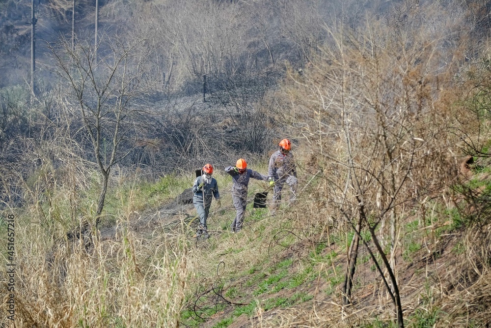 Fire on the side of the Dutra highway causes traffic slowdown, firefighters put out the fire.
