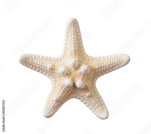Knobby starfish isolated on a white background. One dried five finger fish or sea star macro. Summer vacations and sea holidays design element for greeting card, postcard and banner.
