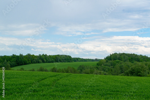green field and blue sky © bykot