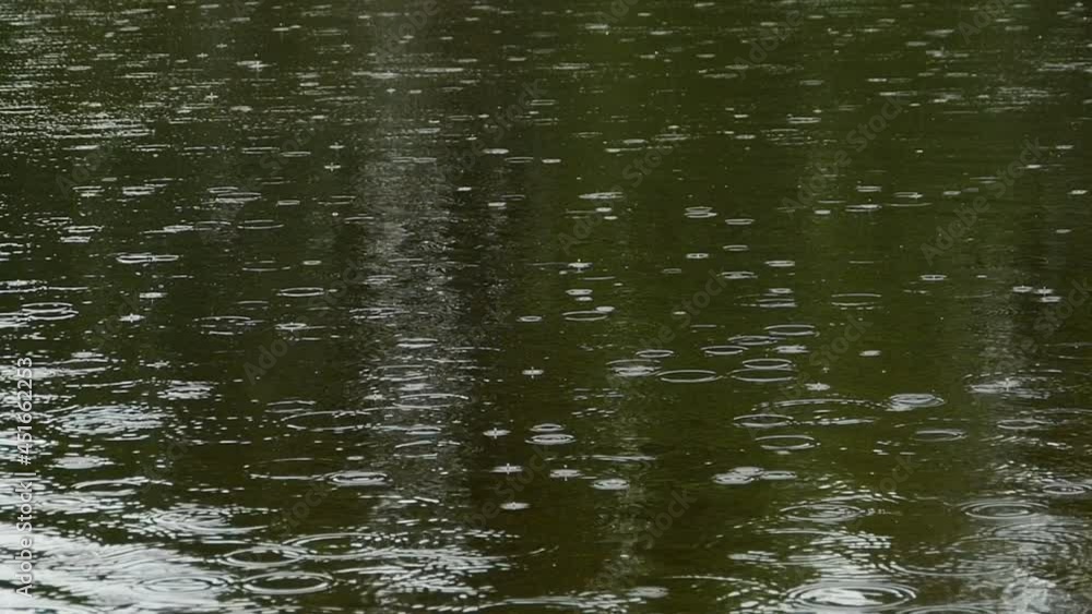 fine drizzling rain leaves circles on the surface of the river fine drizzling rain leaves circles on the surface of the river