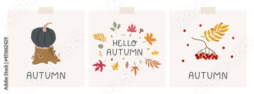 Set of autumn mood cards with doodle drawings. Illustrations of tree stump, pumpkin, fallen colorful leaves, branch of rowan berries. Cute hand-drawn cards, prints.