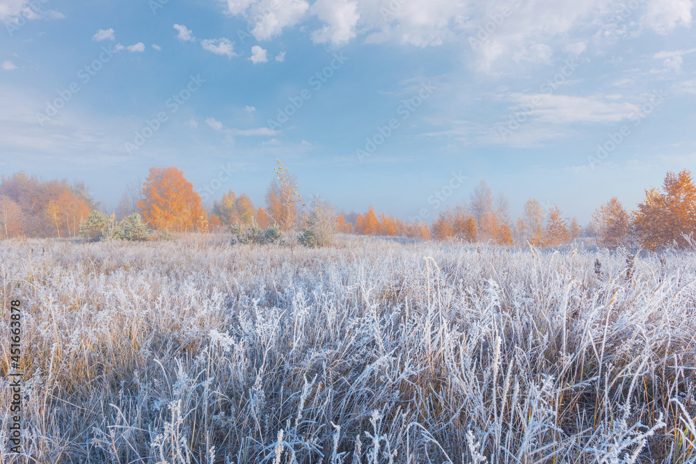 Beautiful autumn misty sunrise landscape. November foggy morning and hoary frost at scenic high grass meadow. Beautiful autumn misty sunrise landscape. November foggy morning and hoary frost at scenic high grass meadow.