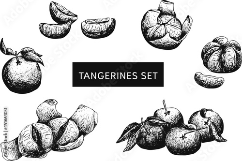 Black and white vector hand drawn fruits Illustration. 
Vintage image tangerines set. Slices of tangerine. Transparent background.