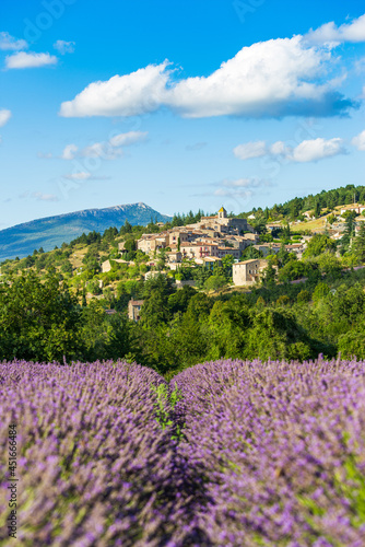 Blooming lavender fields and village of Aurel in background in Vaucluse, Provence-Alpes-Cote d'Azur, France photo