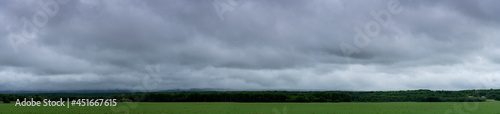 Panorama of a agriculture setting with a green field, trees in the midground and grey-blue clouds. © Craig Taylor Photo