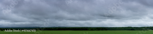 Panorama of a agriculture setting with a green field, trees in the midground and grey-blue clouds.
