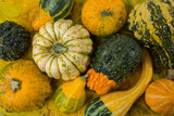 Decorative different pumpkins, autumn theme. View from above