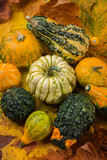 Decorative different pumpkins, autumn theme. View from above