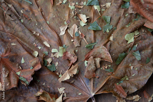Colorful dry autumn leaves on top of wooden floor. Neutral colors brown, green, orange.