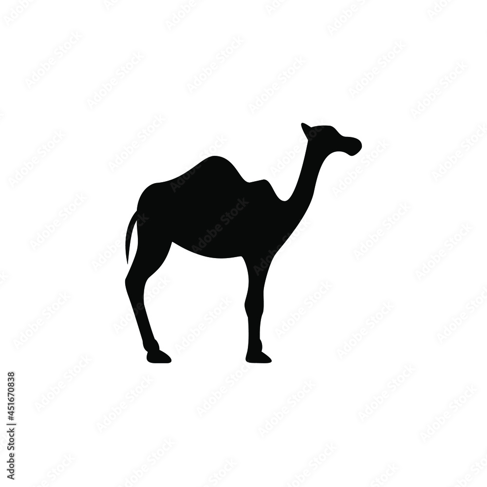 Fototapeta premium Camel vector png icon isolated on white background
