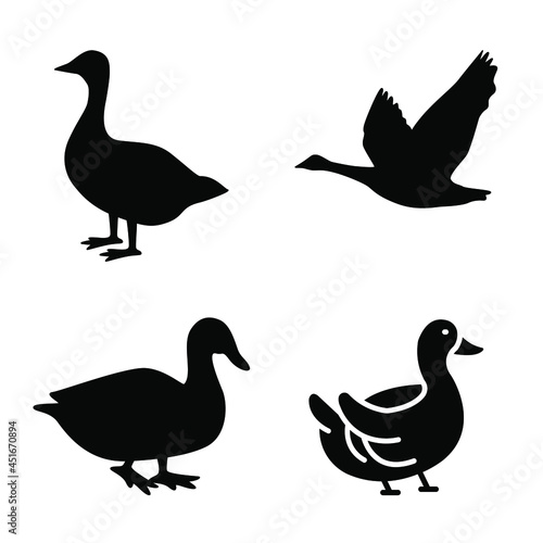 Collection of duck goose silhouette vector png.