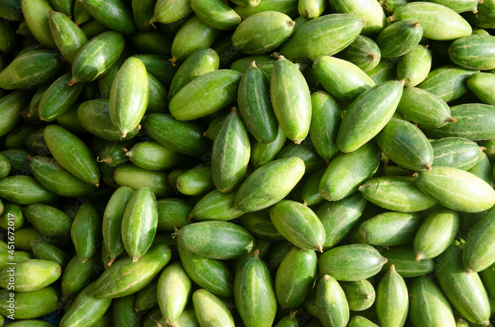 Green pointed gourds vegetable. Also uses for background or texture. Green pointed gourds vegetable. Also uses for background or texture.