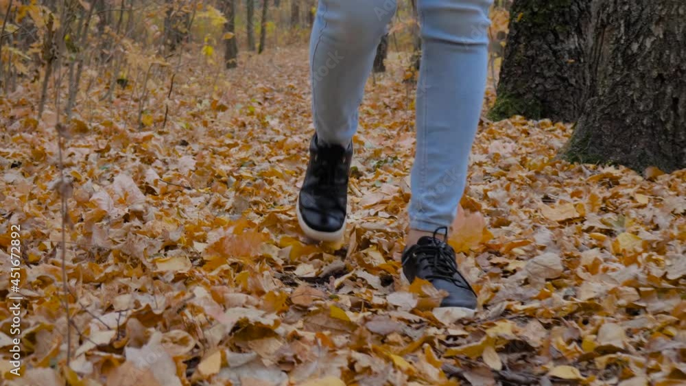 Slow motion: woman legs in blue jeans, black sneakers walking on road with orange fallen leaves in autumn park, forest - close up, low angle steadicam shot. Active outdoor lifestyle, freedom concept Slow motion: woman legs in blue jeans, black sneakers walking on road with orange fallen leaves in autumn park, forest - close up, low angle steadicam shot. Active outdoor lifestyle, freedom concept