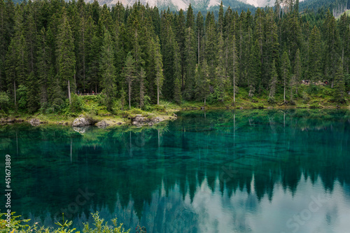 Extremely clear water with reflection in Carezza lake in South Tyrol, Italy. Surrounded by green , rich forest and dolomite mountains, Alps.