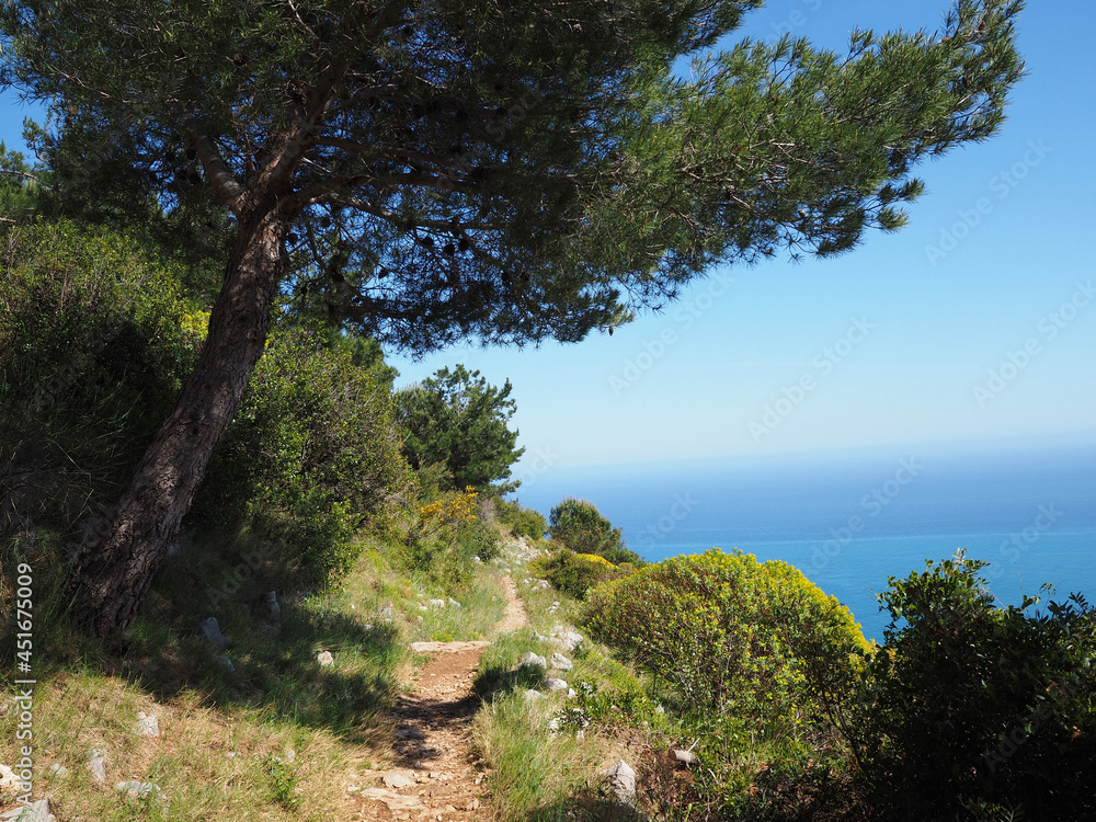 chemin pittoresque au dessus de la Côte d'Azur - France