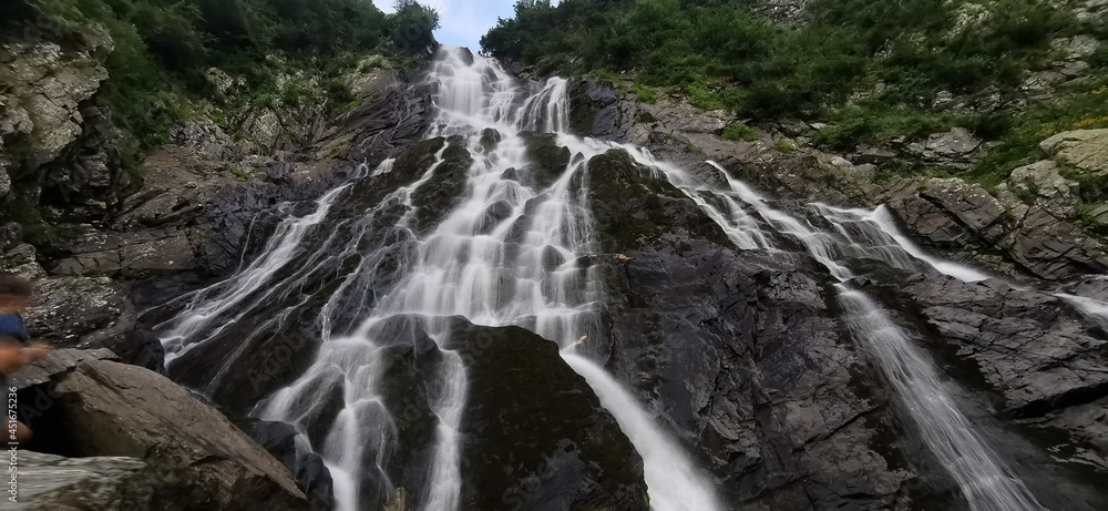 Obraz premium waterfall in the forest