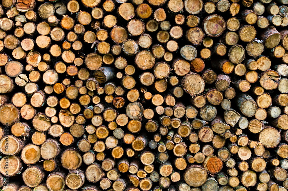 A pile of firewood