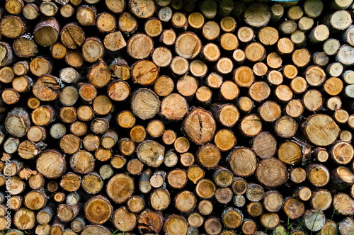 A pile of firewood