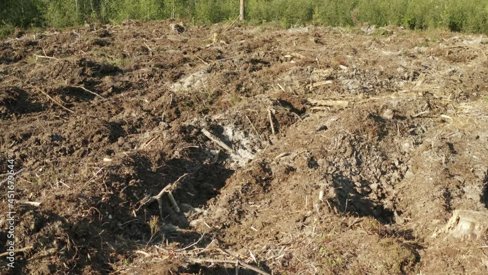 Aerial low slow flight over clearcut logging site in Sweden - bad example about how clearcutting can destroy an ecological integrity of wild forest. Northern Sweden, Umea Aerial low slow flight over clearcut logging site in Sweden - bad example about how clearcutting can destroy an ecological integrity of wild forest. Northern Sweden, Umea