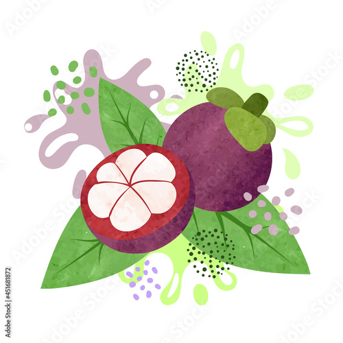 Mangosteen fruit splash des...