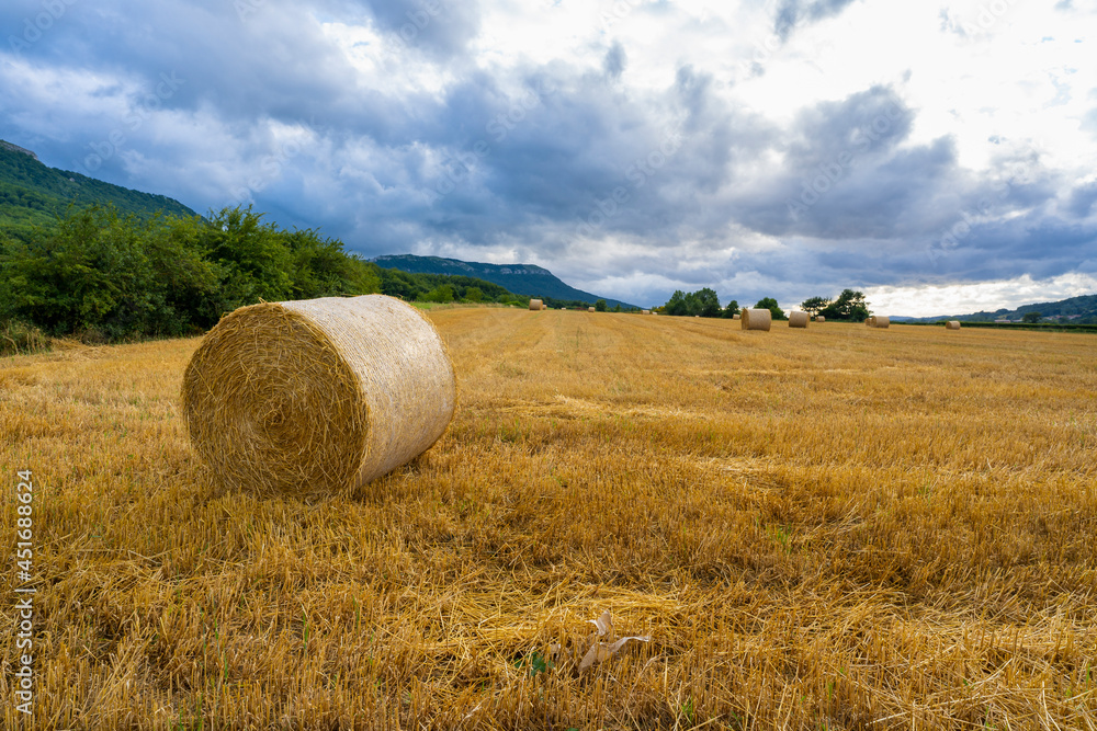 Straw bales in the field.
