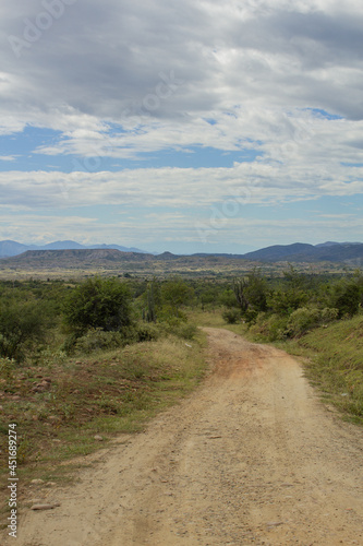 Road to the desert