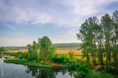 River and trees. Picturesque nature.